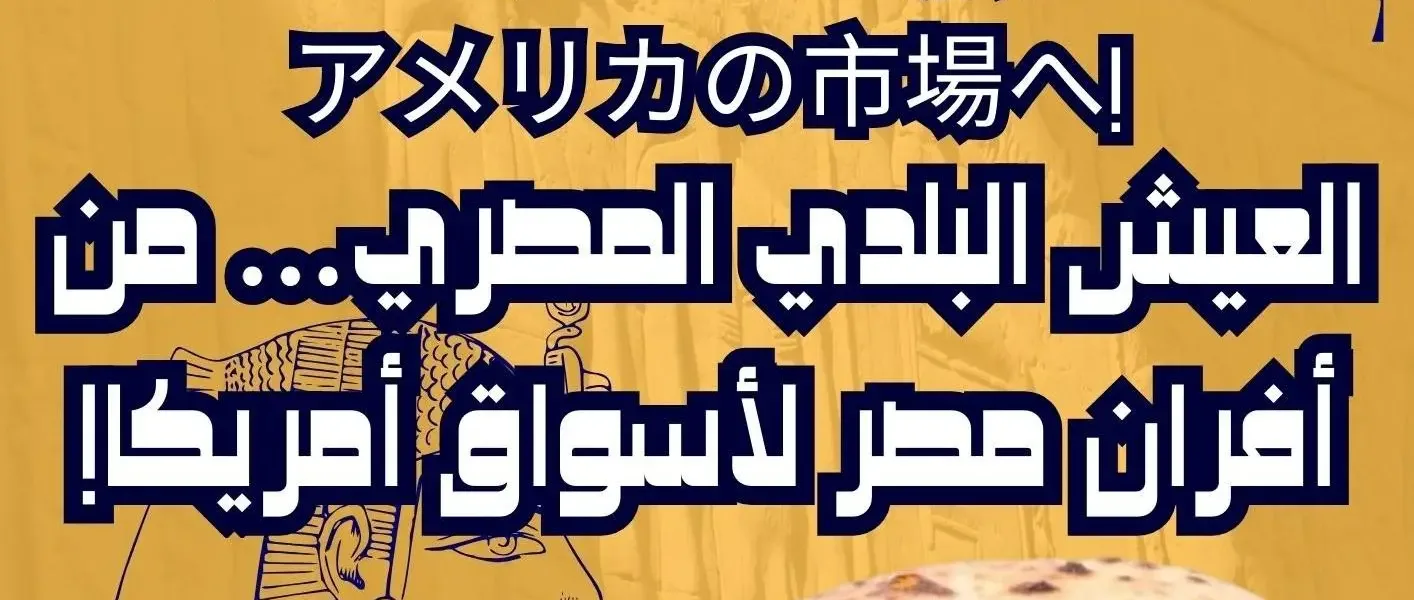 العيش البلدي المصري… من أفران مصر لأسواق أمريكا!