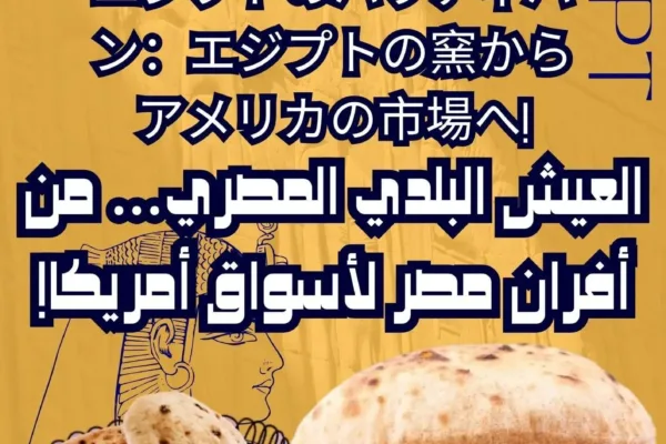 エジプトのバラディパン：エジプトの窯からアメリカの市場へ!