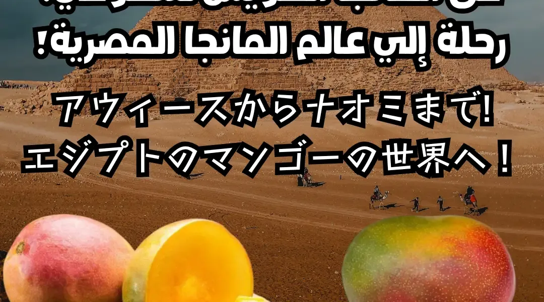 アウィースからナオミまで:エジプトのマンゴーの世界へ！