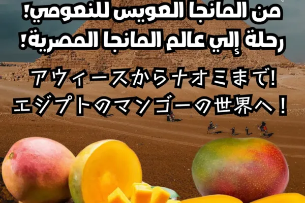 من المانجا العويس للنعومي! رحلة إلي عالم المانجا المصرية!