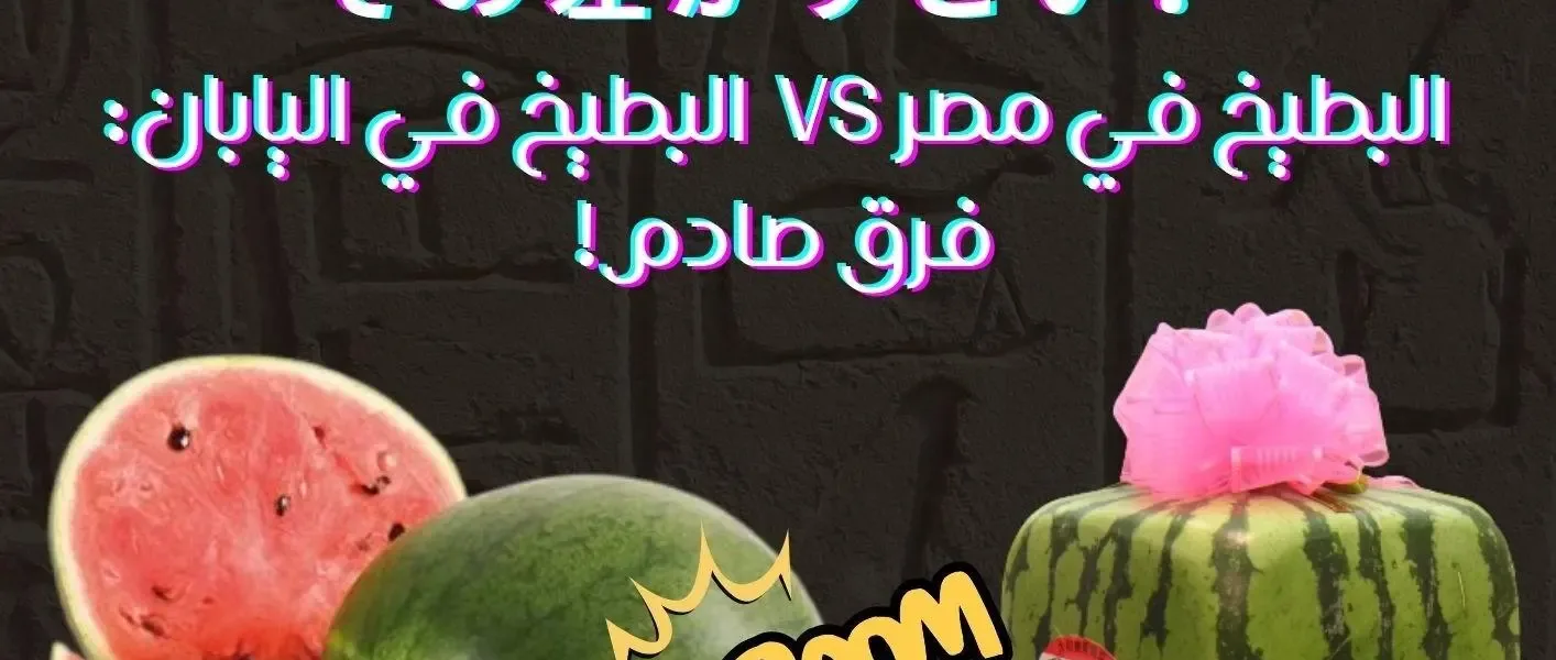 البطيخ في مصر vs 🍉 البطيخ في اليابان 🍉:فرق صادم!