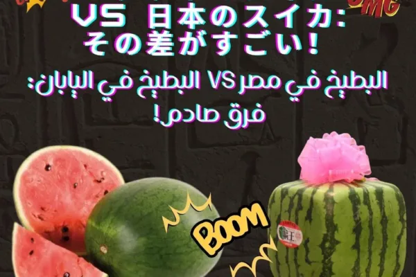 البطيخ في مصر vs 🍉 البطيخ في اليابان 🍉:فرق صادم!