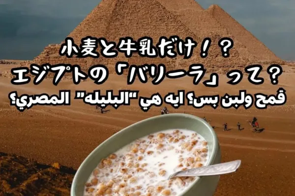 小麦と牛乳だけ！？エジプトの「バリーラ」って？