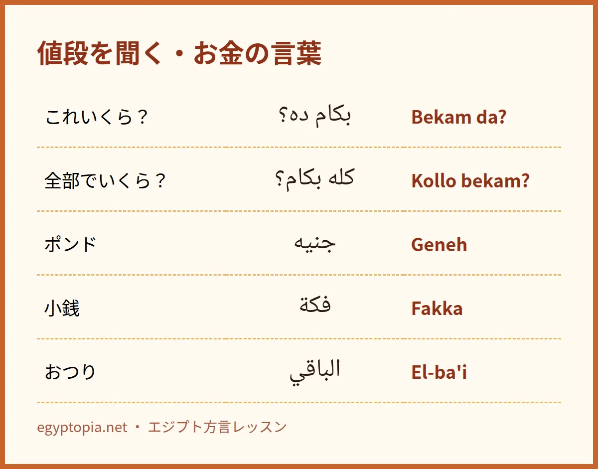 値段を聞く・お金の言葉|エジプト方言